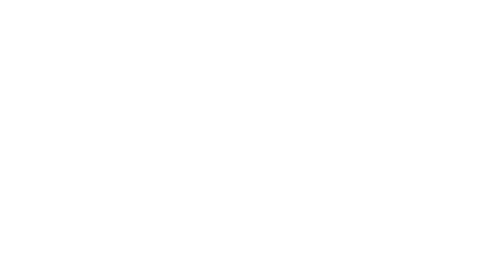 Ara Logistic